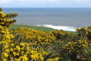 Sandsend-17-7402_2