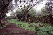 Sta Katharina-nuraghe-06-0003_12_13