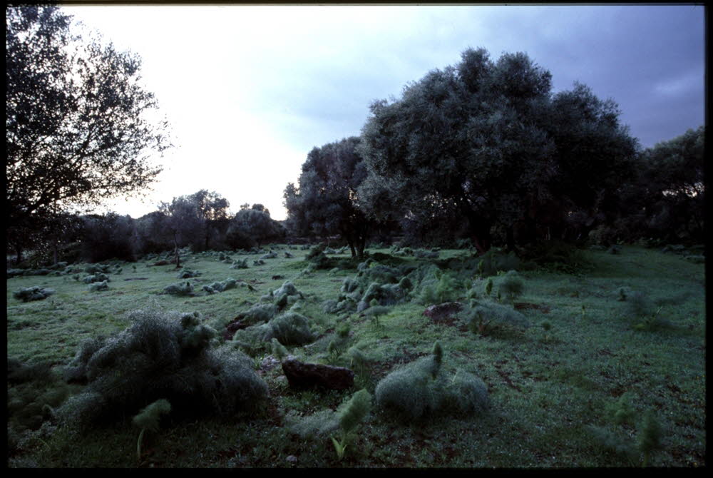 Sta Katharina-nuraghe-06-0009_18_18