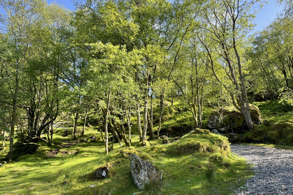 Varnes-22-02