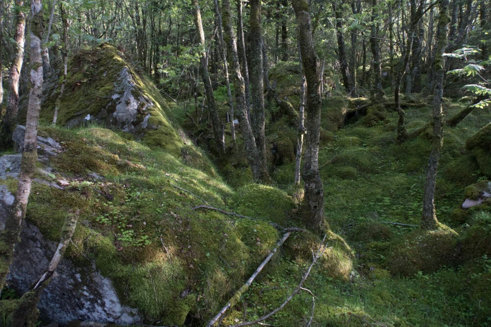 Varnes-22-15