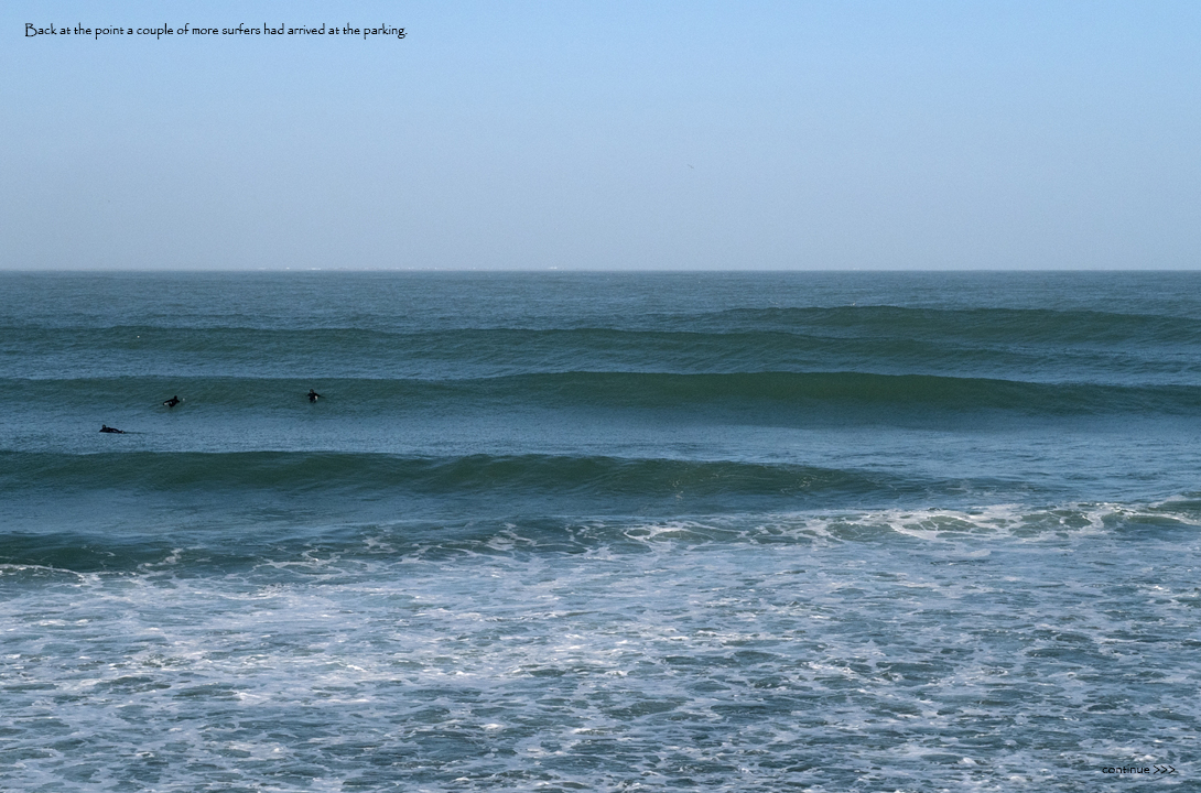 Ice-Summer-Swell-16