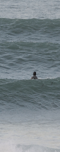 Ice-Summer-Swell-38vl
