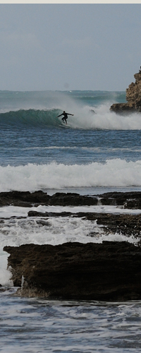 EP04c-Genoa-Low-40vl