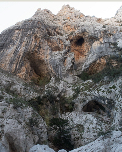 EP06-average-days-67vrw