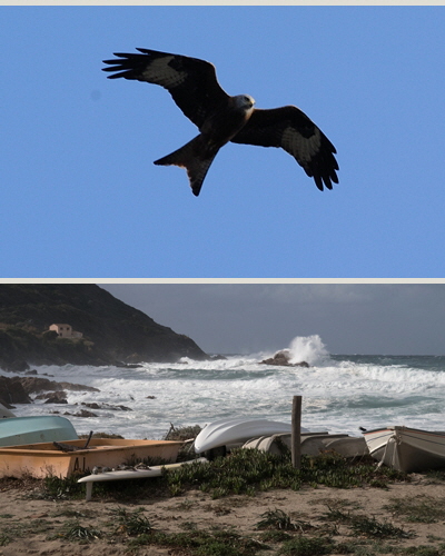 EP11-southwest-29vrw