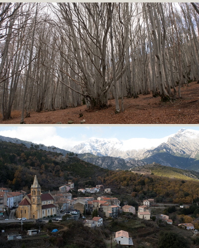 EP11-southwest-86vrw