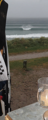 Grass-161vl