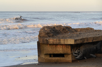 Cayton-Bay-insert-2013