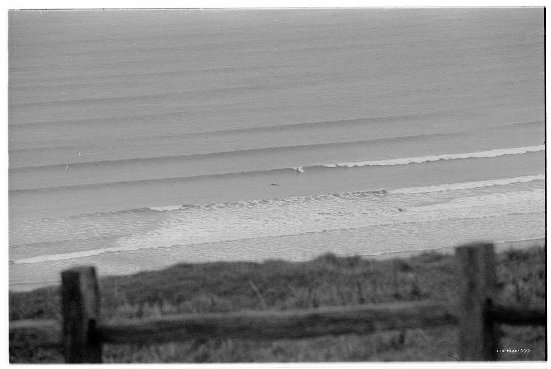 Gower-BW-04