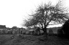 Carnac-menhirs-04-0011_11