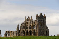 Whitby-12-2311_1
